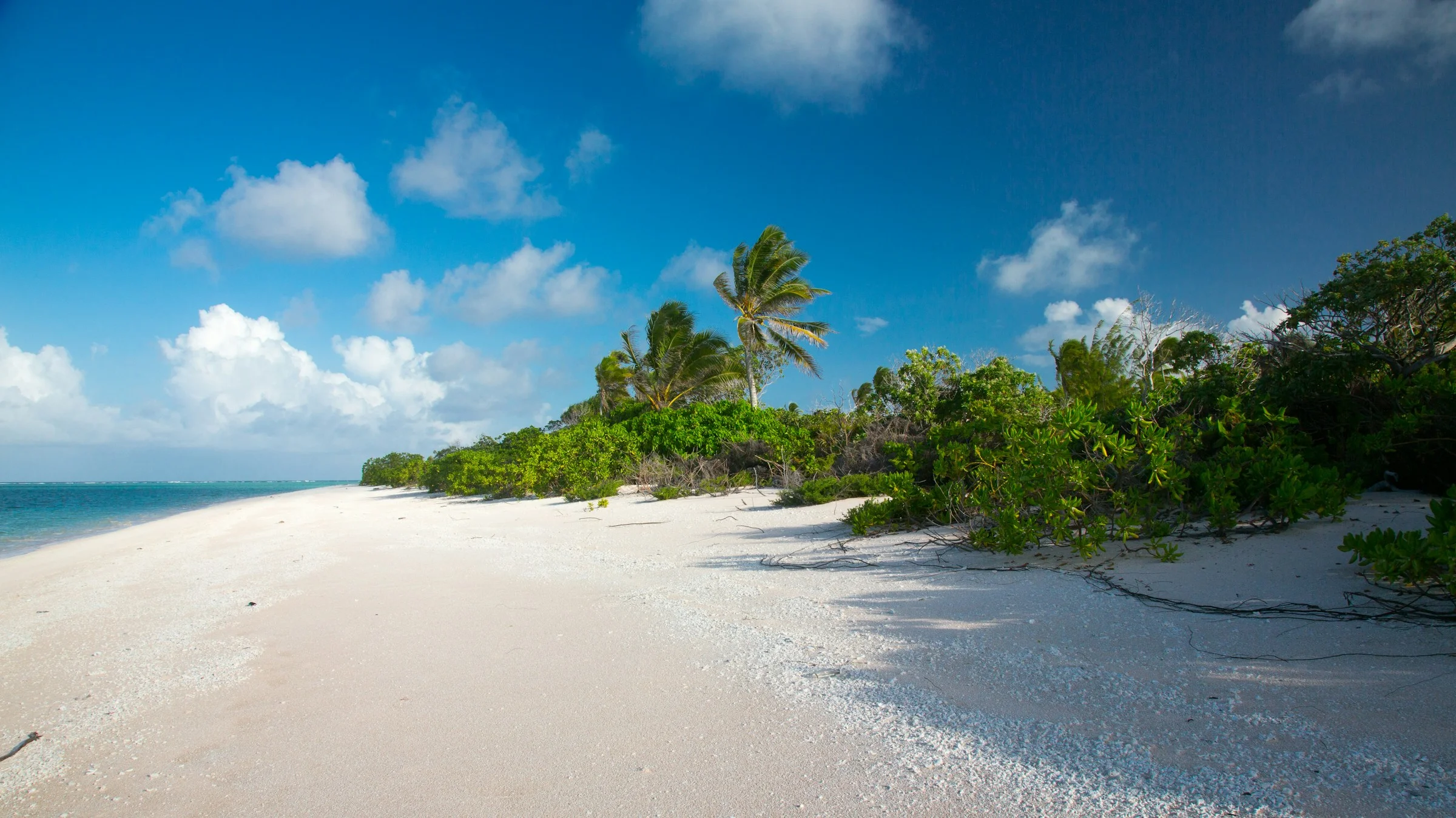 Residential resale listings in Marshall Islands – see updates | VelesClub Int.