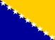 Bosnia and Herzegovina icon