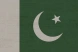 Pakistan icon