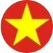 Vietnam icon