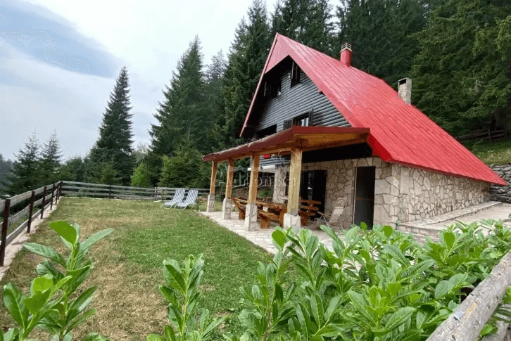 House 3+1 in a pine forest in Kolasin