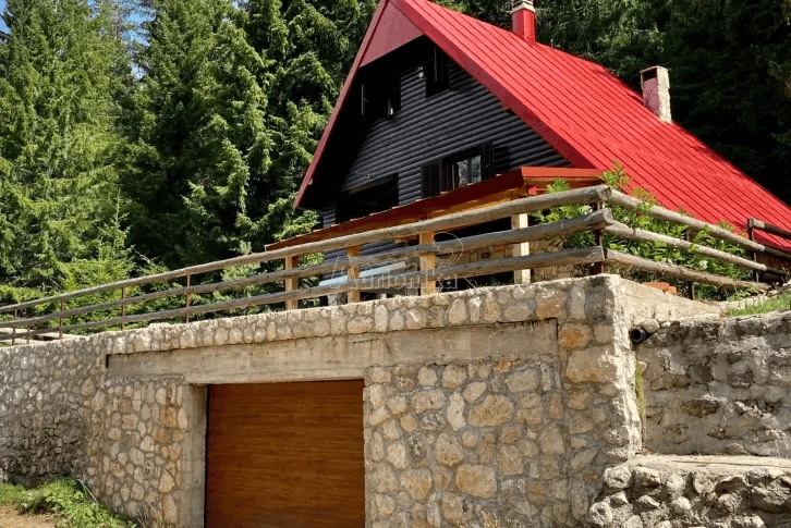 House 3+1 in a pine forest in Kolasin