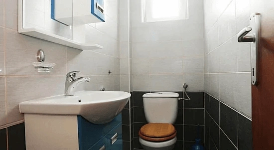 Apartment 2+1 for living in Zanice