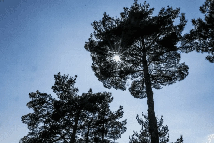 فيلا رائعة بمساحة 300 م2 مع إطلالات بانورامية على البحر