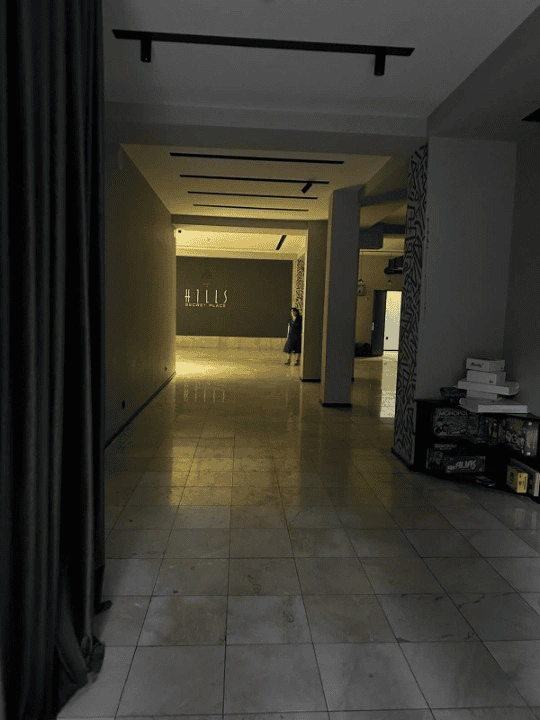 Espace commercial sur la rue Gogebashvili