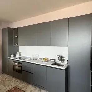 摩纳哥蒙特卡洛全新 2+1 公寓