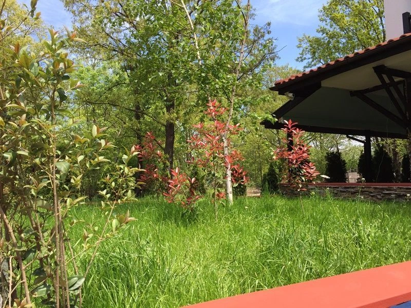 Spacious apartment surrounded by pine forest in Primorsko, Bulgaria, 60 m²