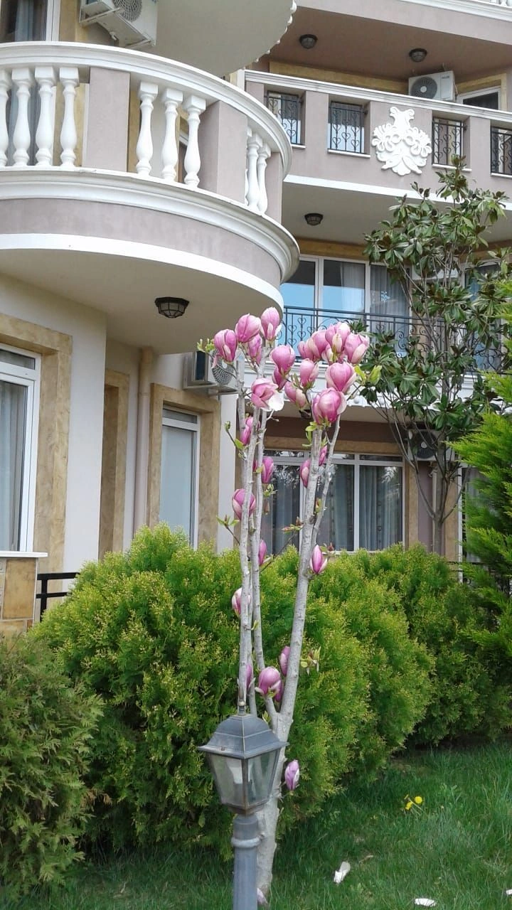 Studio with high-quality finishes and sea views in Ravda, Bulgaria