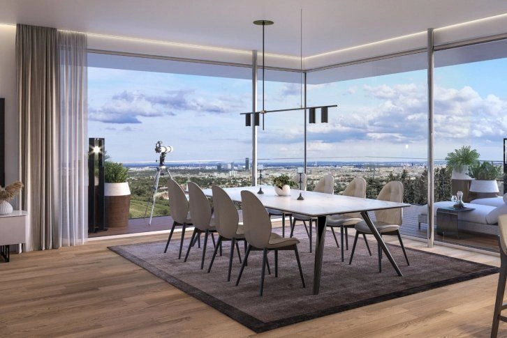 维也纳精致装修顶层公寓