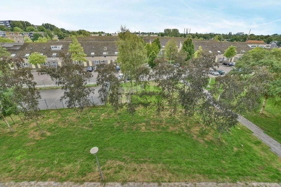 شقة مضيئة في شمال أمستردام في منطقة مولنويك، هولندا