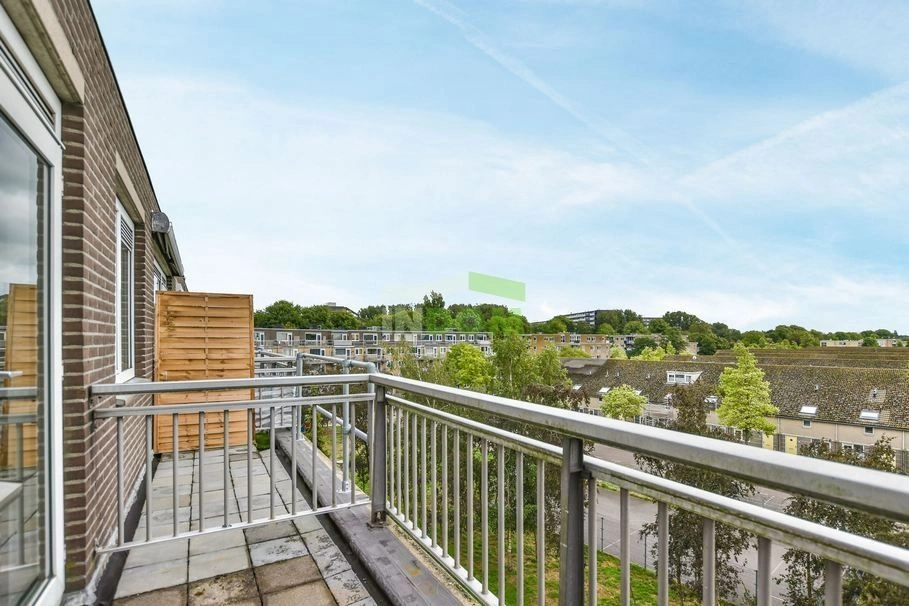 شقة مضيئة في شمال أمستردام في منطقة مولنويك، هولندا