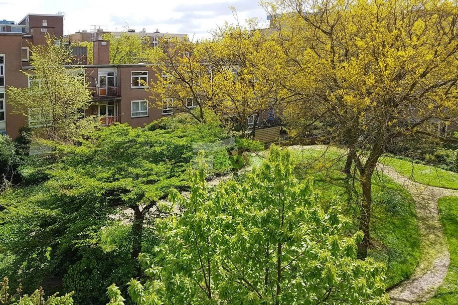 شقة مشرقة في مركز أمستردام مع شرفة، هولندا