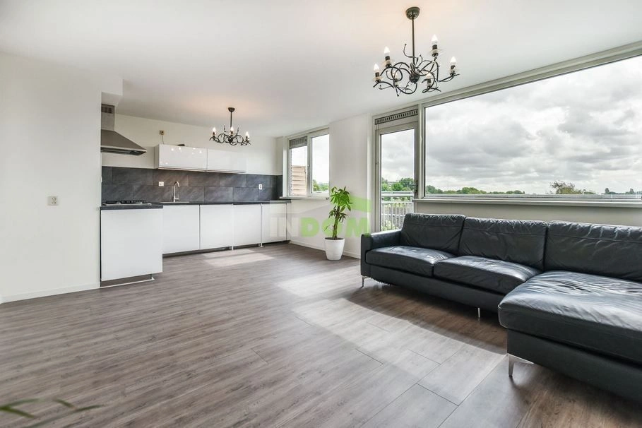 شقة مضيئة في شمال أمستردام في منطقة مولنويك، هولندا