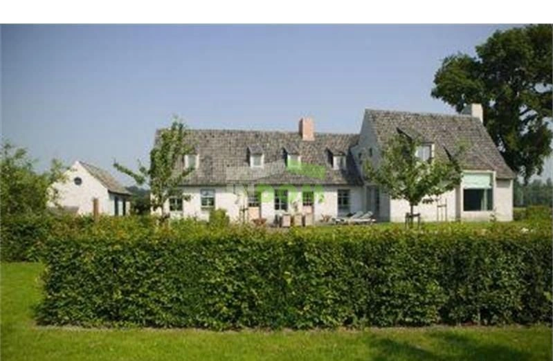 ویلای در بروژ با اتاق نشیمن وسیع و باغ بزرگ، بلژیک #OBe 20-19)