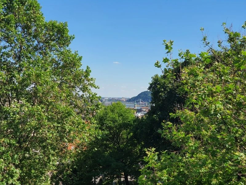 Lüks, ferah 8 odalı villa Budapeşte'de