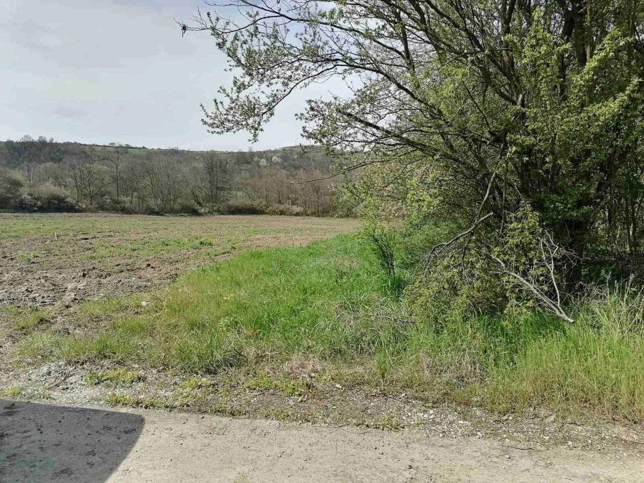 Building plot in Belgrade, Serbia