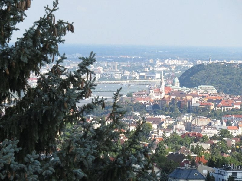 Geniş 8+1 villa Gül Tepesi'nde