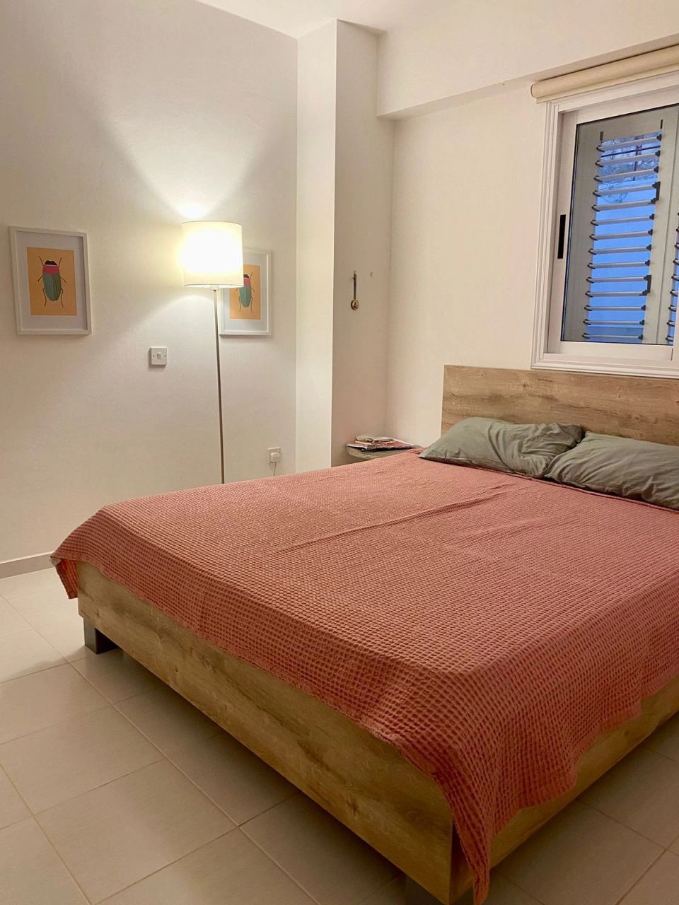 آپارتمان یکخوابه کنار دریا در پافوس، قبرس