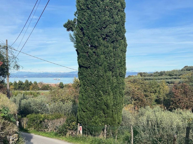 Вилла с видом на море в тихом районе Изолы, Словения