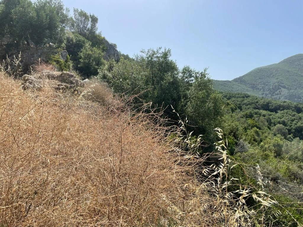 Terrain à Corfou, 4800 m²