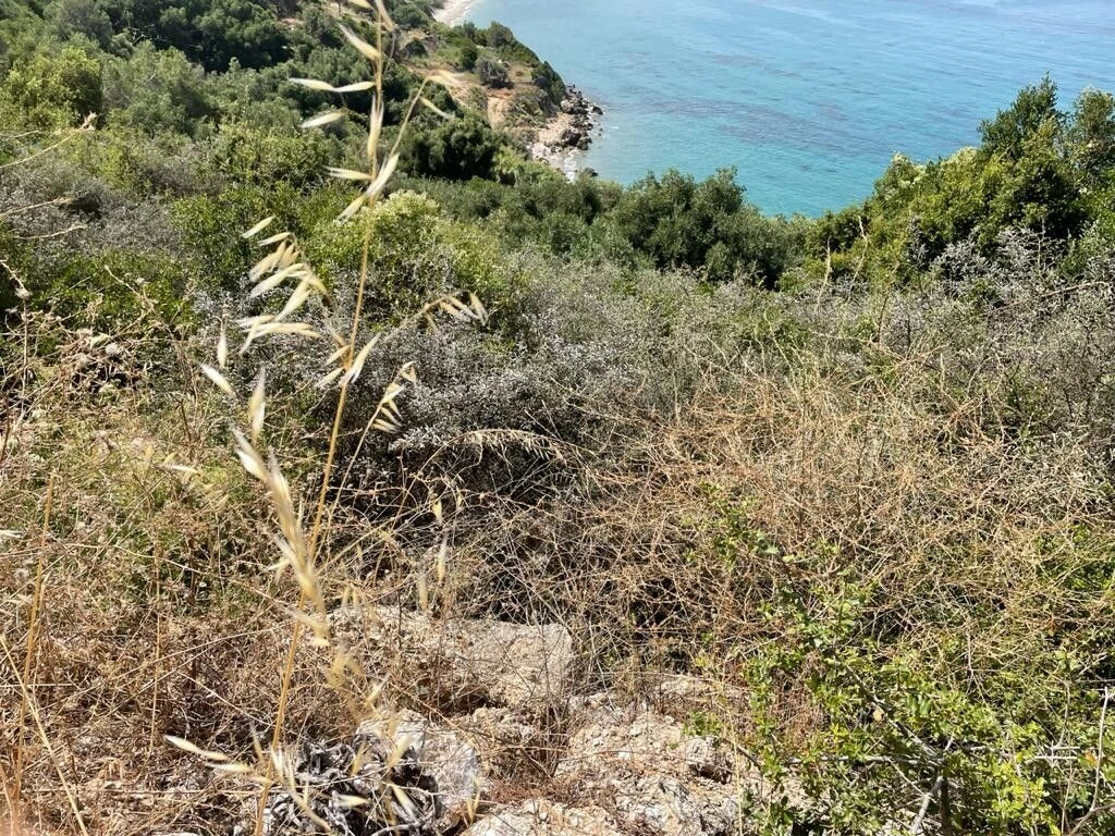 Terrain à Corfou, 4800 m²