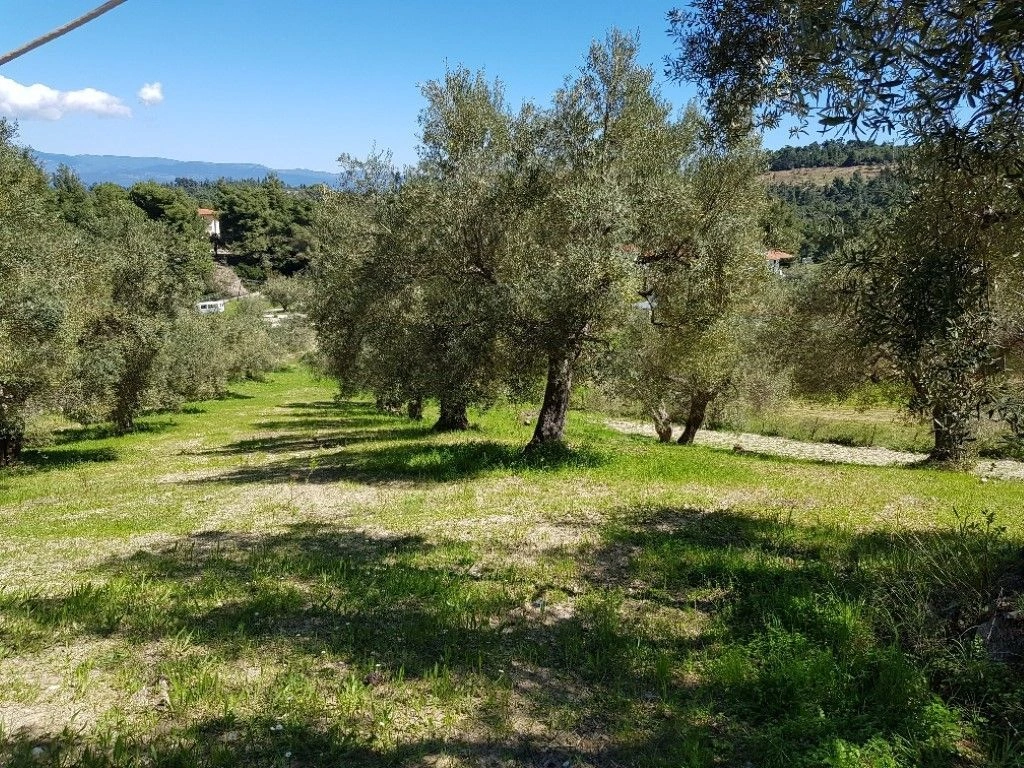 Terrain en Halkidiki, 2002 m²