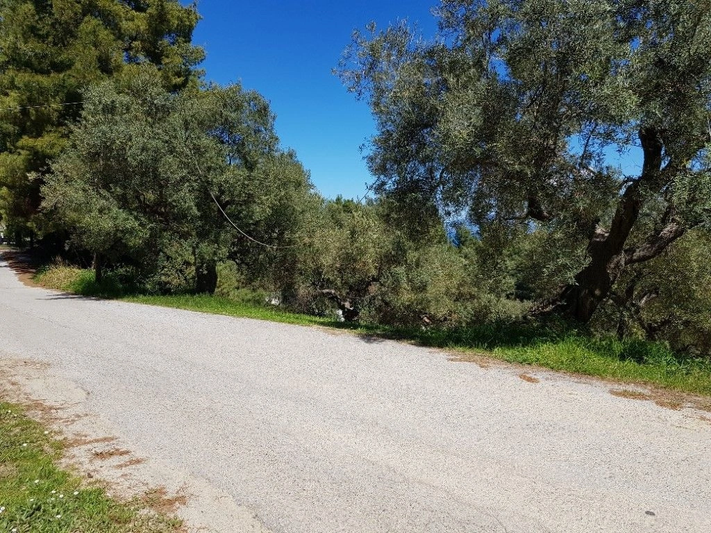 Terrain en Halkidiki, 2002 m²