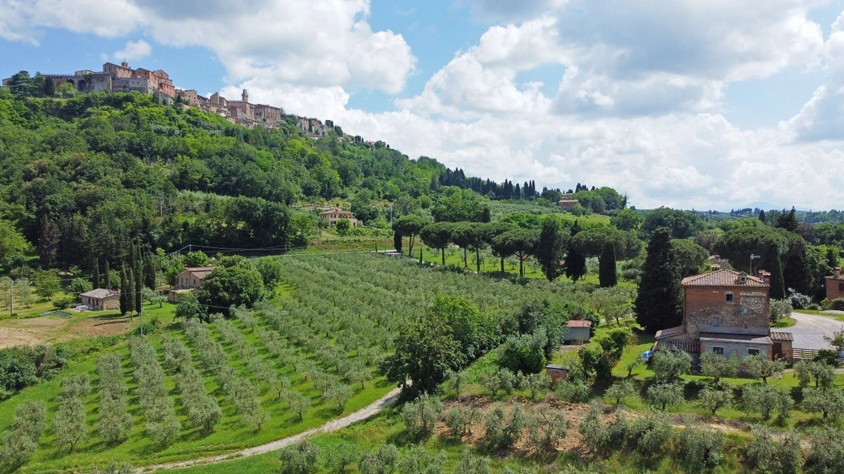 意大利蒙特普尔恰诺 7+1 全景庄园