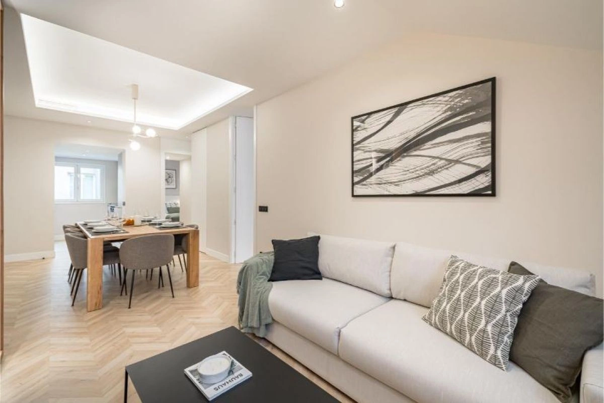 Cozy 2+1 apartment with furniture in Madrid