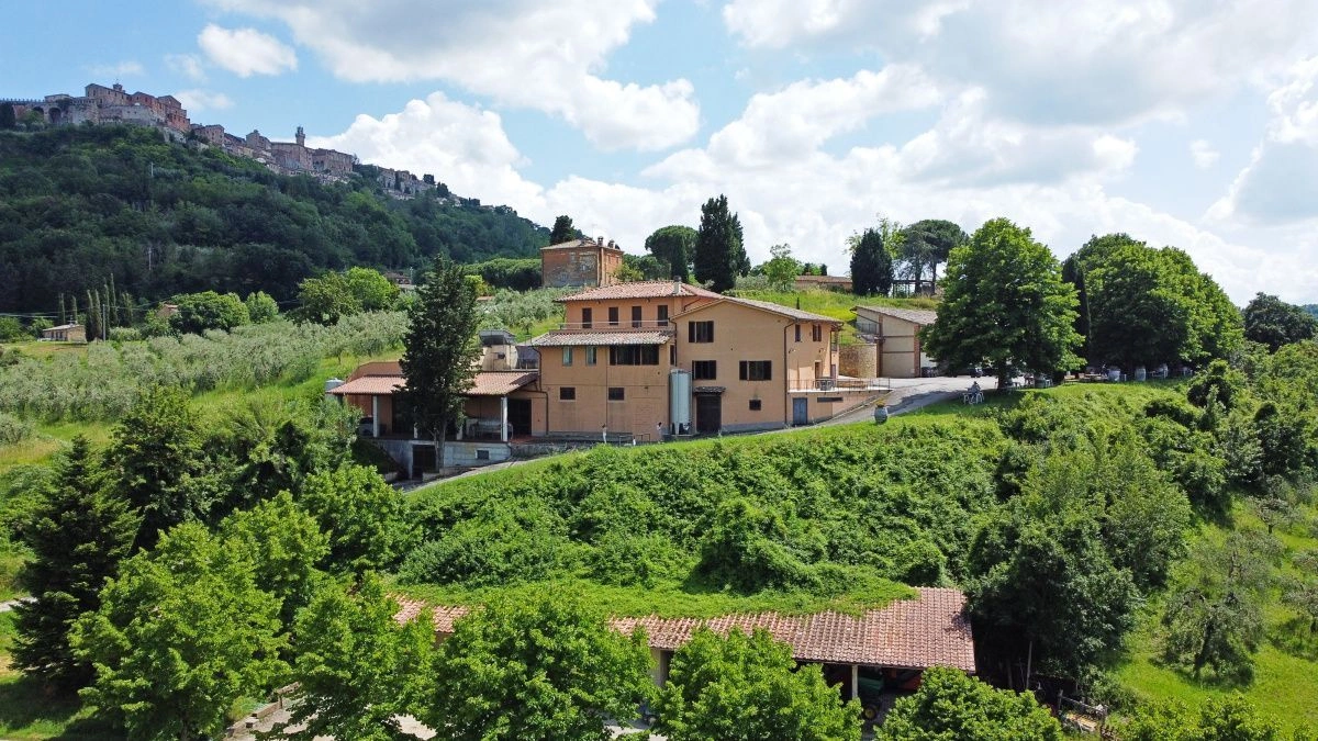 意大利蒙特普尔恰诺 7+1 全景庄园