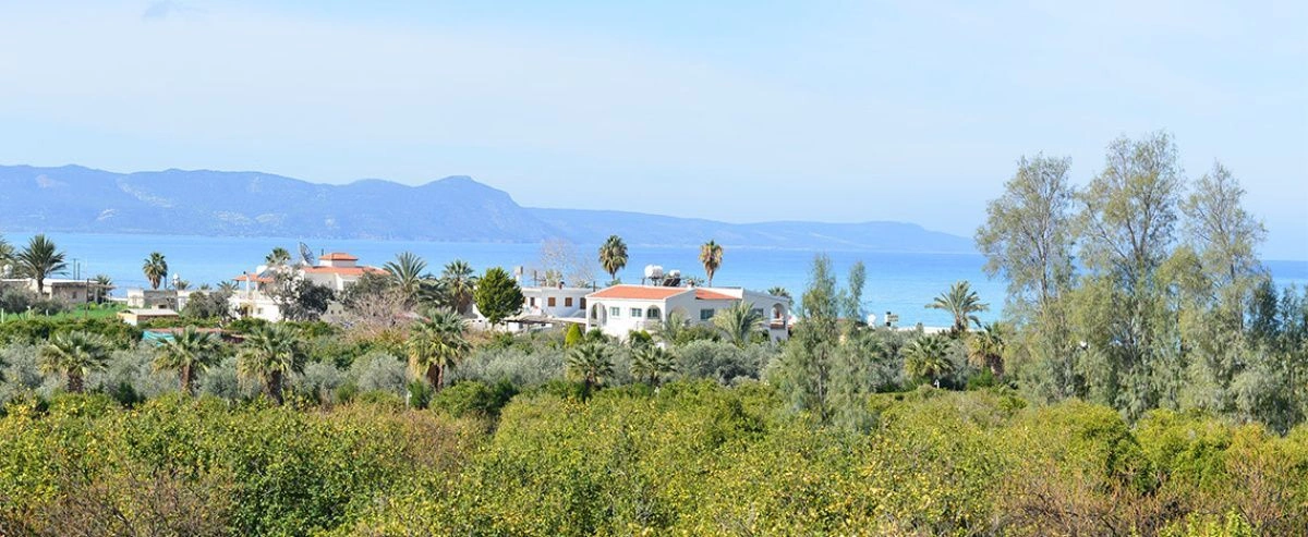 Wonderful villa 165 m2 in Paphos
