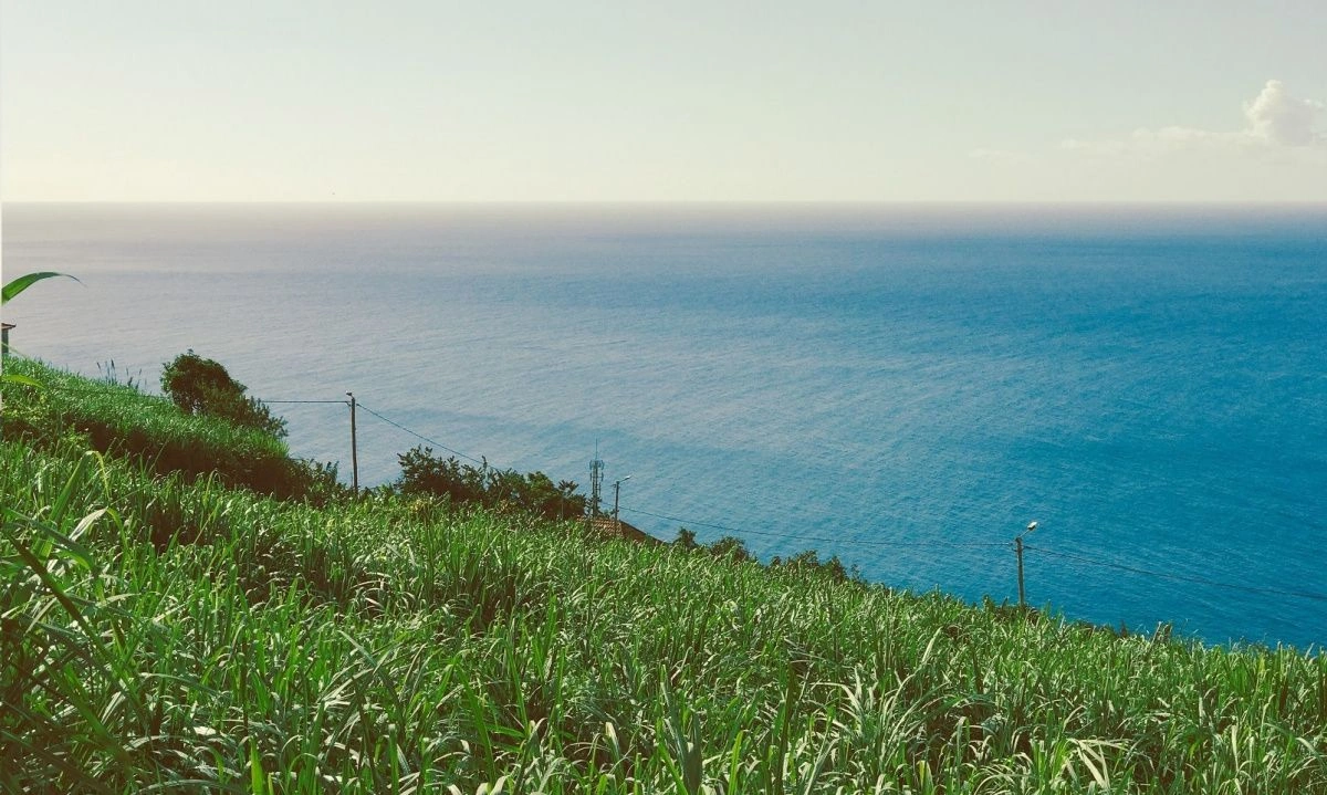 فيلا 3+1 في منطقة ريبيرا براڤا بماديرا، البرتغال