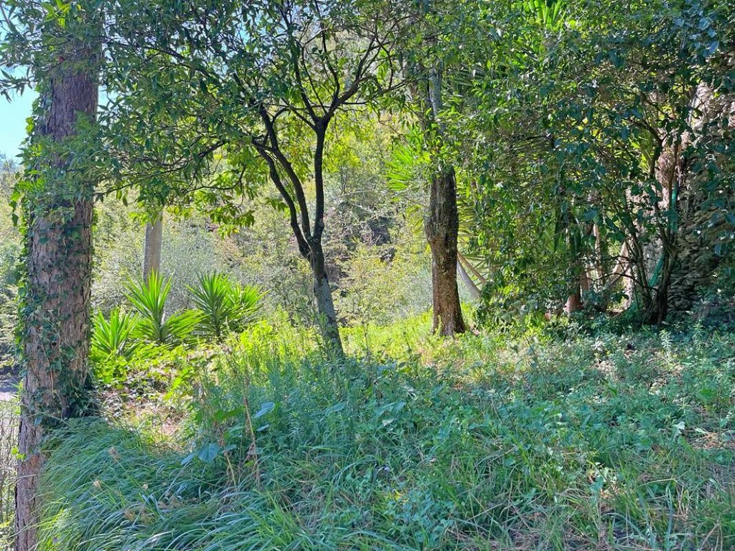 Three-storey villa in the suburbs of Genoa surrounded by green hills, Italy