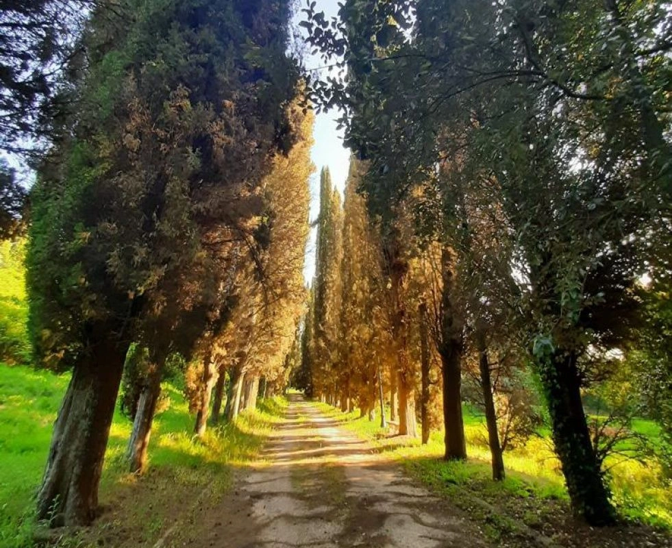 فيلا تاريخية في ضواحي بيزا مع حديقة وشلال، إيطاليا