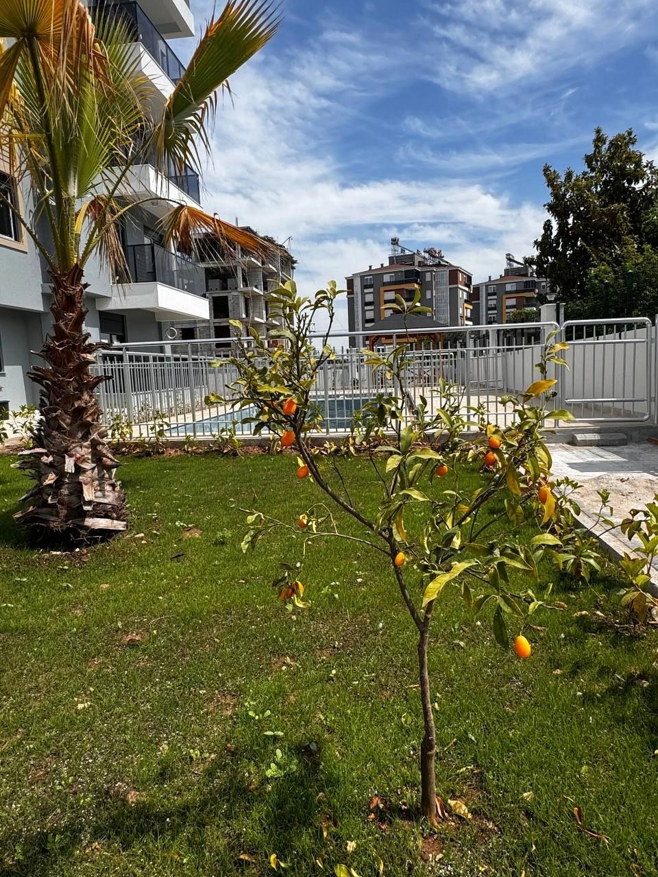 土耳其安塔利亚现代小区近海 1+1 公寓