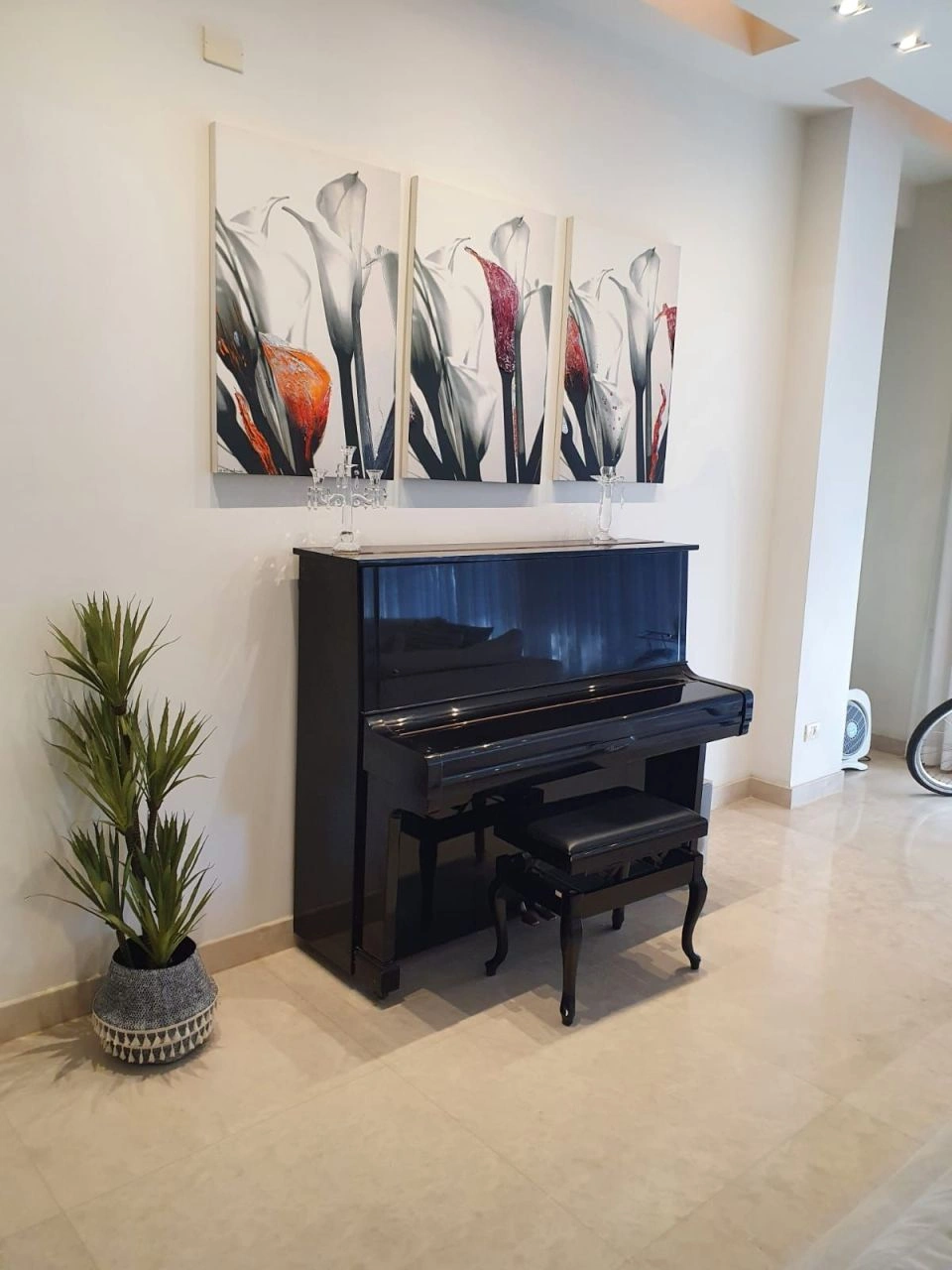 Villa surrounded by a green park in Ramat Gan, Israel