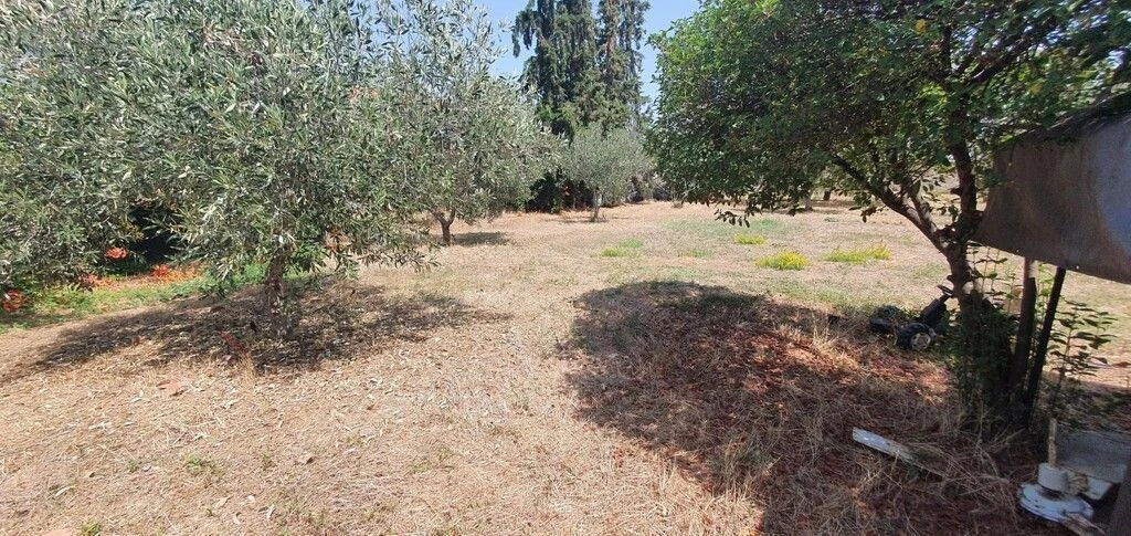 Terrain à Halkidiki, 2000 m2
