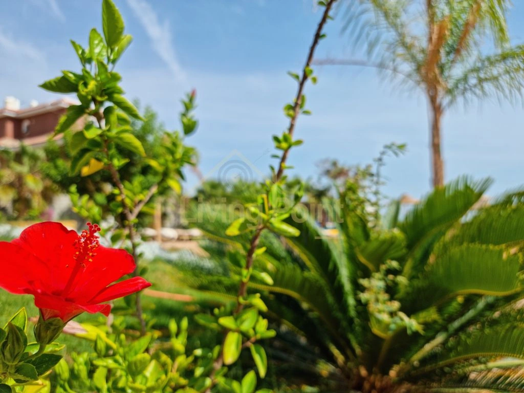 Hurghada, Mısır’da taşınmaya hazır kompakt 1+1 daire