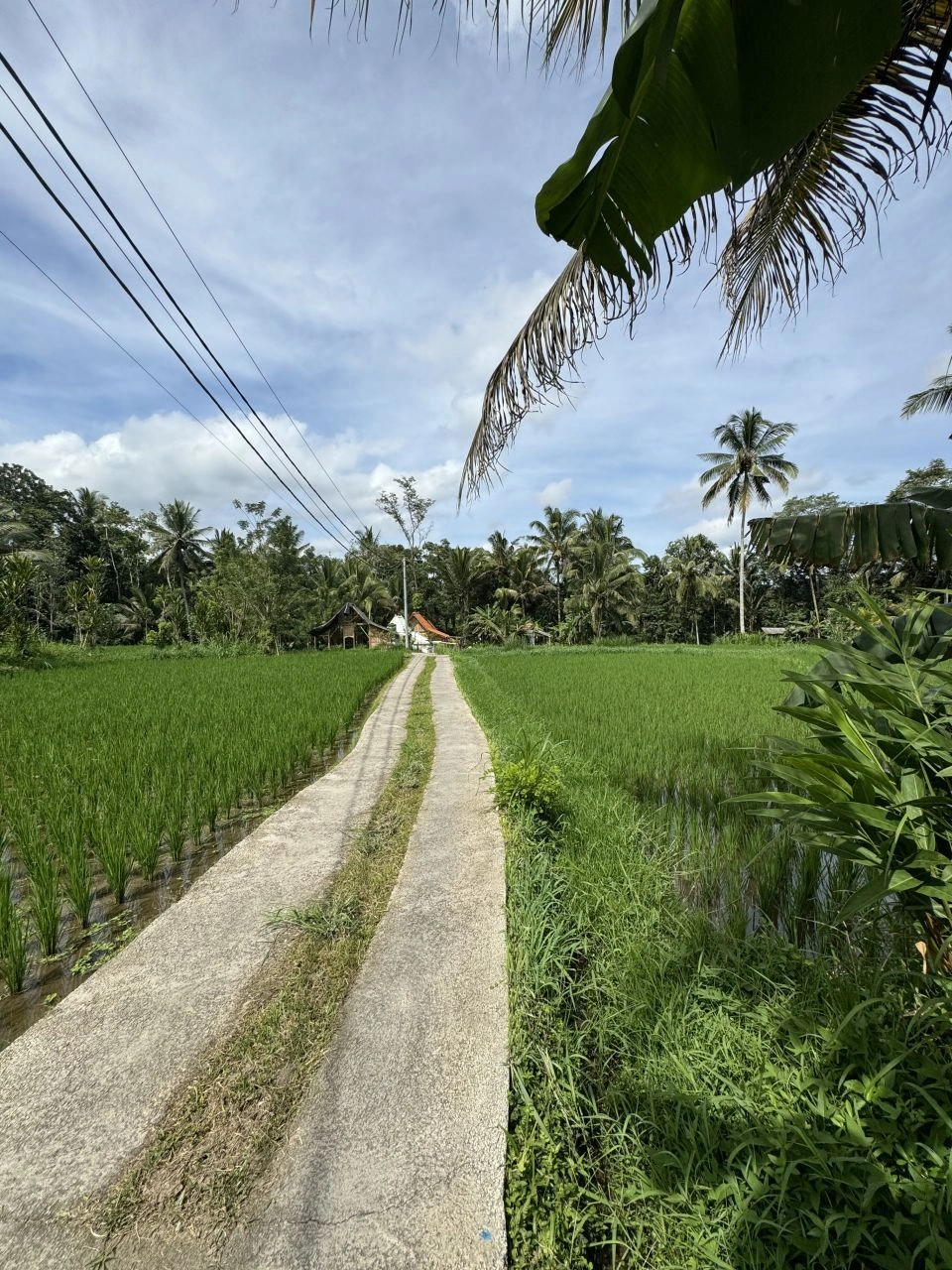 Villa de 127 m2 com móveis em Ubud