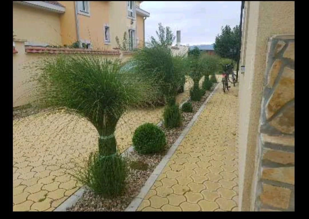 توجد الفيلا على بُعد 5 دقائق من مركز نوفي ساد