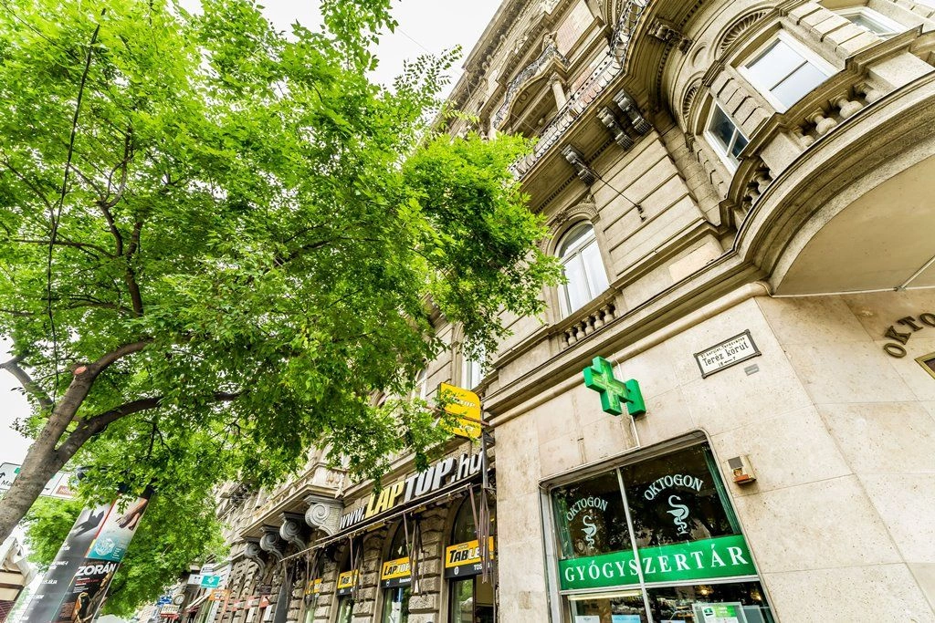 Appartement 3+1 avec vue sur la ville, au centre de Budapest