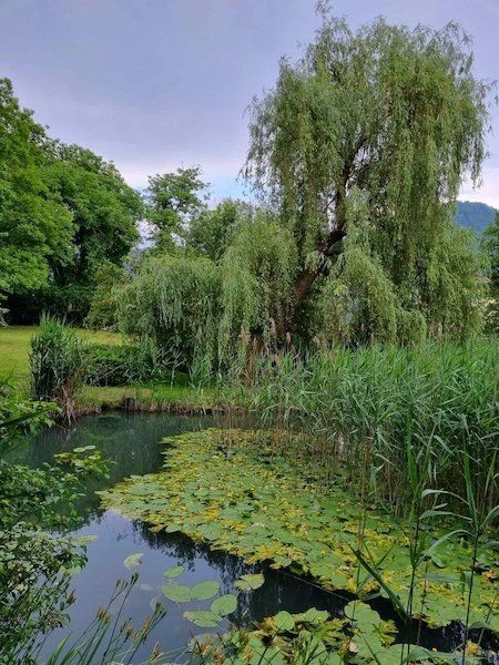 Villa by a picturesque lake in Bled, Slovenia