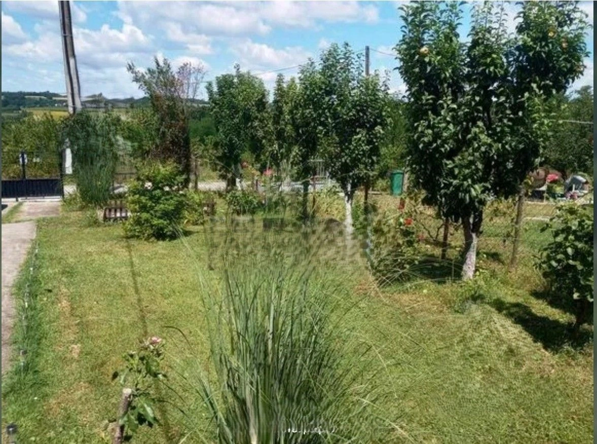 Belgrad, Sırbistan'da orman manzaralı geniş ev 4+1