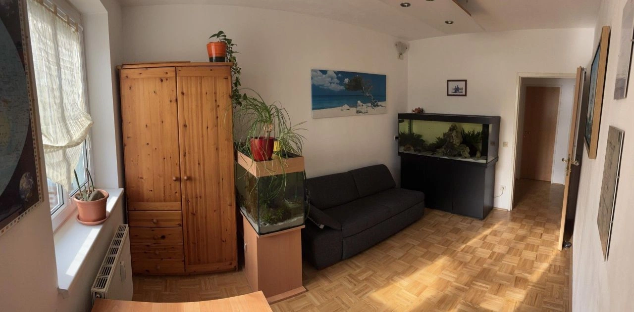 Bright apartment in Linz with two loggias