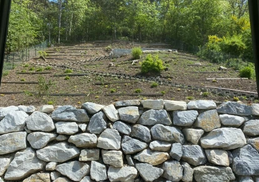 Well-planned villa in Lower Austria