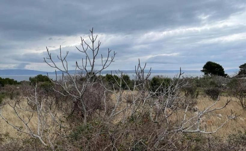 Acheter un terrain à bâtir à Punat, Croatie - 405 k € ✅