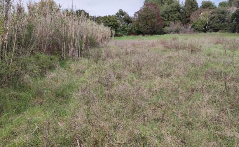 Land for construction in Stinjan, Croatia