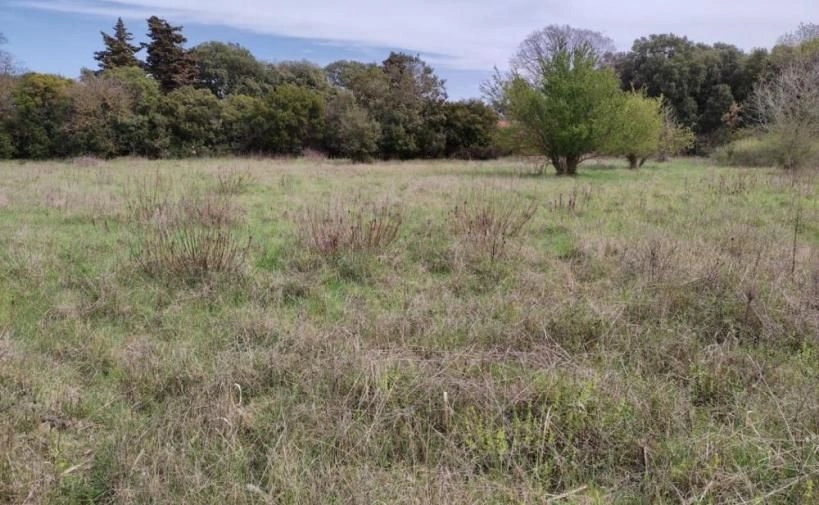 Land for construction in Stinjan, Croatia