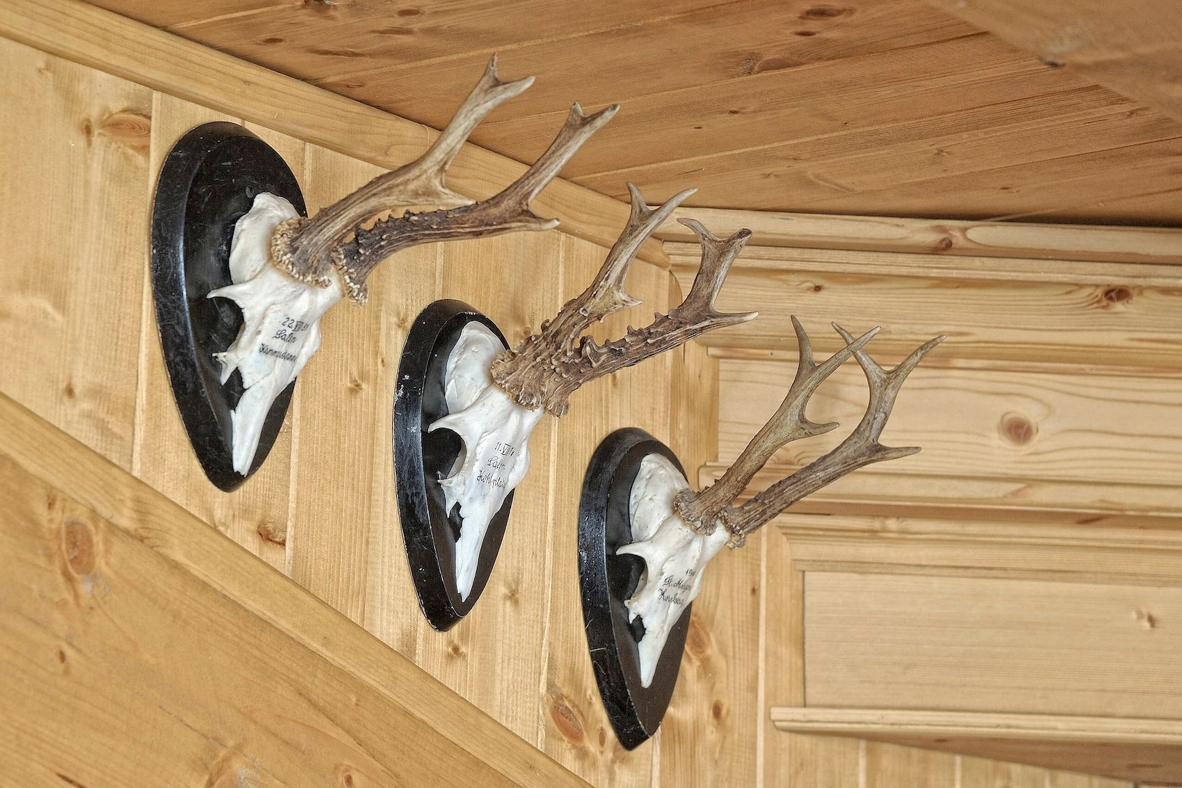 Appartement à Pinzolo avec vue sur la montagne