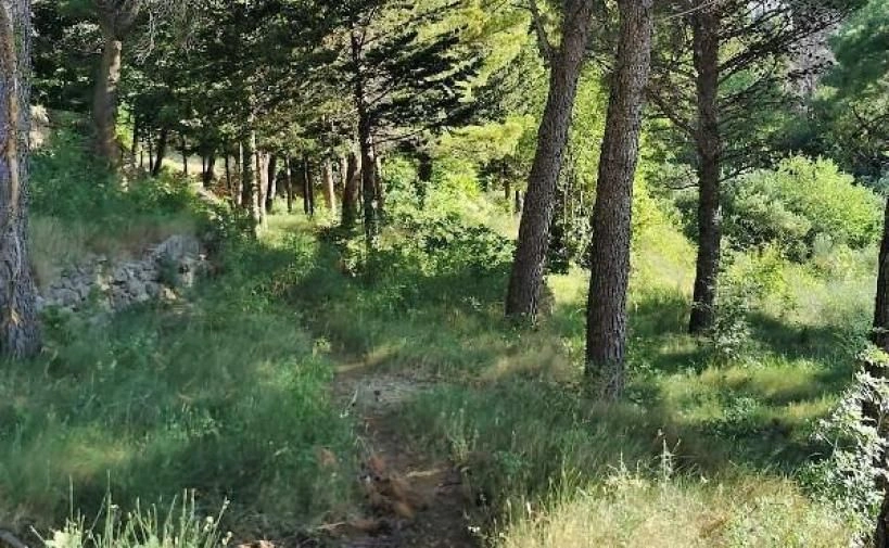 زمین شهری در برلا، کرواسی